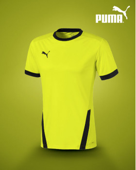 PUMA TeamGoal 23 ﻿Jersey